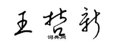 梁錦英王哲新草書個性簽名怎么寫