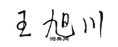 駱恆光王旭川草書個性簽名怎么寫
