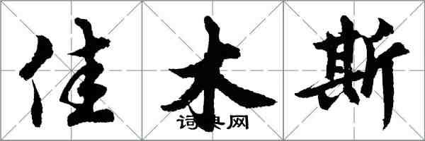 胡問遂佳木斯行書怎么寫