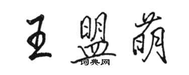 駱恆光王盟萌行書個性簽名怎么寫