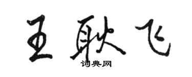 駱恆光王耿飛行書個性簽名怎么寫