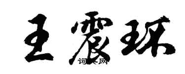 胡問遂王震環行書個性簽名怎么寫