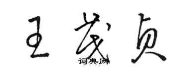 駱恆光王茂貞草書個性簽名怎么寫