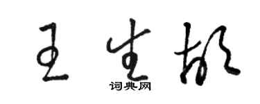 駱恆光王生胡草書個性簽名怎么寫
