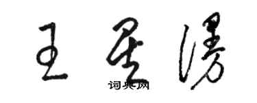 駱恆光王星漫草書個性簽名怎么寫