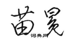 駱恆光苗冕行書個性簽名怎么寫