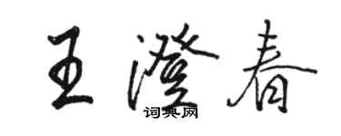 駱恆光王澄春行書個性簽名怎么寫