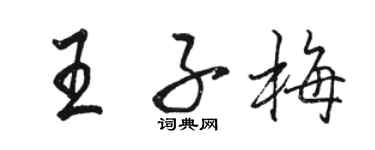駱恆光王子梅行書個性簽名怎么寫