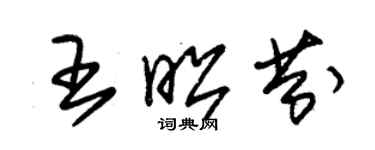 朱錫榮王昭芬草書個性簽名怎么寫