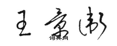 駱恆光王景衛草書個性簽名怎么寫