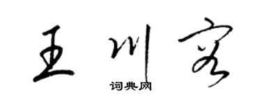 梁錦英王川容草書個性簽名怎么寫