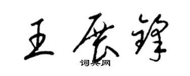 梁錦英王展鋒草書個性簽名怎么寫