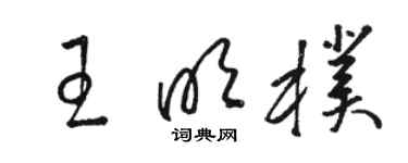 駱恆光王明朴草書個性簽名怎么寫