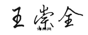 駱恆光王崇全行書個性簽名怎么寫