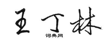 駱恆光王丁林行書個性簽名怎么寫