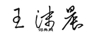 駱恆光王沫晨草書個性簽名怎么寫