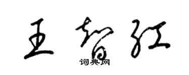 梁錦英王智紅草書個性簽名怎么寫