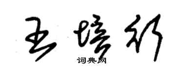 朱錫榮王培行草書個性簽名怎么寫