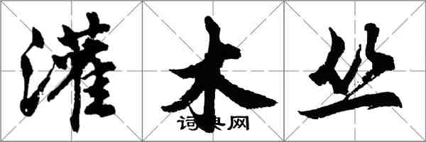 胡問遂灌木叢行書怎么寫