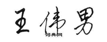 駱恆光王偉男行書個性簽名怎么寫