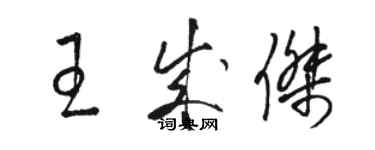 駱恆光王成傑草書個性簽名怎么寫