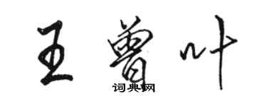 駱恆光王曾葉行書個性簽名怎么寫