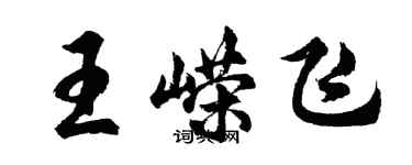 胡問遂王嶸飛行書個性簽名怎么寫