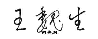 駱恆光王魏生草書個性簽名怎么寫