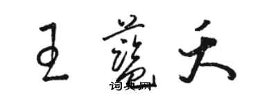 駱恆光王藍夭草書個性簽名怎么寫