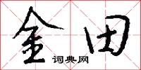 金田怎么寫好看