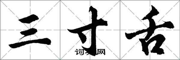 胡問遂三寸舌行書怎么寫