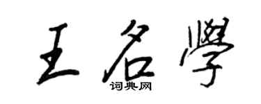王正良王名學行書個性簽名怎么寫