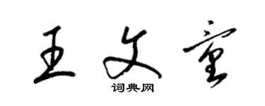 梁錦英王文童草書個性簽名怎么寫