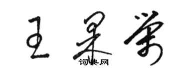 駱恆光王果榮草書個性簽名怎么寫