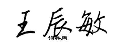 王正良王辰敏行書個性簽名怎么寫