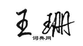 駱恆光王珊行書個性簽名怎么寫