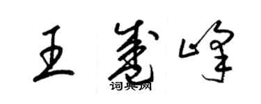 梁錦英王盛峰草書個性簽名怎么寫