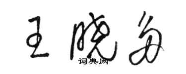 駱恆光王曉多草書個性簽名怎么寫