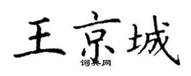 丁謙王京城楷書個性簽名怎么寫
