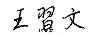王正良王習文行書個性簽名怎么寫