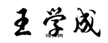 胡問遂王學成行書個性簽名怎么寫