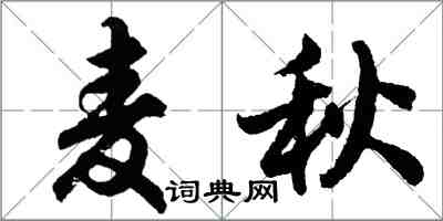 胡問遂麥秋行書怎么寫