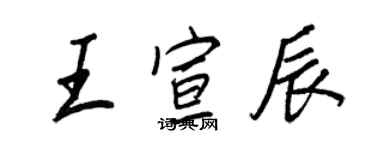 王正良王宣辰行書個性簽名怎么寫