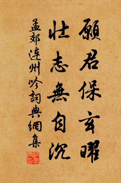 孟郊願君保玄曜,壯志無自沉書法作品欣賞