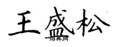 丁謙王盛松楷書個性簽名怎么寫