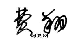 朱錫榮費翔草書個性簽名怎么寫