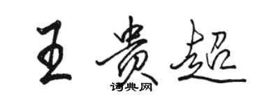 駱恆光王貴超行書個性簽名怎么寫