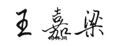 駱恆光王嘉梁行書個性簽名怎么寫