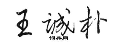 駱恆光王誠樸行書個性簽名怎么寫