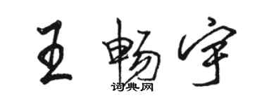 駱恆光王暢宇行書個性簽名怎么寫